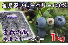 数量限定 『古代の風』無農薬ブルーベリー１㎏ ＜1-56＞