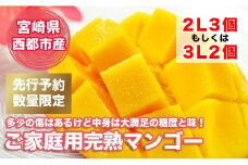 【先行予約】訳ありご家庭用 完熟マンゴー 宮野原農園宮崎スターズマンゴー 2～3個約1kg＜1.3-4＞宮崎完熟マンゴー 果物 フルーツ 甘い　