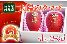 最高級ブランド『太陽のタマゴ』1㎏程度2～3玉【糖度15度以上】宮崎県西都市産完熟マンゴーＪＡ西都【先行予約 】＜3-18＞【先行予約】