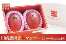 【川崎農園】完熟マンゴー 西都市 産生産者直送【先行予約】＜1.5-5＞　　