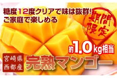 訳ありご家庭用 西都産完熟マンゴー 糖度12度以上 3～4玉入り 約1kg ＪＡ西都 アップルマンゴー ＜1.5-64＞宮崎マンゴー【先行予約】