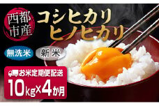 【4ヶ月定期便】新米無洗米10kg（5kg×2）×4 令和4年度産コシヒカリ・ヒノヒカリ 令和4年産発送開始＜6-7＞　