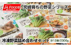 とっても便利！冷凍野菜詰め合わせセット 12袋 計2.3kg【10日前後で発送】＜1-127＞★