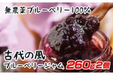 『古代の風』無農薬ブルーベリージャムBig  260g×2個＜1-131＞
