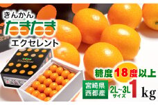 糖度18度以上の宮崎金柑の最高級ブランド『完熟きんかんたまたまエクセレント』2L～3Lサイズ 西都市産【先行予約】＜1.7-27＞