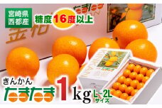 糖度16度以上の宮崎完熟きんかんたまたま1kg L～2Lサイズ 宮崎県 西都市産 金柑【先行予約】＜1-136＞