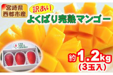 訳あり よくばり完熟マンゴーセット3玉 約1.2kg アップルマンゴー  宮崎県西都産 生産者直送【マンゴー専門 スターフルーツカンパニ】＜1.8-26＞宮崎マンゴー【先行予約】