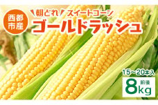 初夏の味覚！鮮度が命 生産者直送 村田さん家のゴールドラッシュ 約8kg 大人気 西都市産 朝どれスイートコーン【先行予約】とうもろこし トウモロコシ＜1.2-21＞