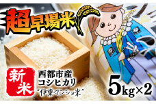 新米発送中！早場米 新米コシヒカリ10kg 5kg×2 令和6年産  米 10kg＜1.7-1＞宮崎県産 西都市産 こしひかり 白米 ごはん ご飯