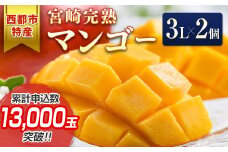 【7月29日終了】今が旬！宮崎県産完熟マンゴー3L×2個 西都市特産品宮崎マンゴー＜1.5-132＞宮崎マンゴー 果物 フルーツ 甘い