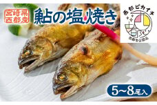 鮎の塩焼きギフト 5~7尾入り ＜1.1-35＞川魚 鮎 あゆ