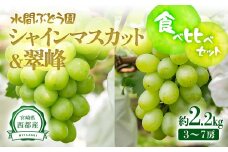 シャインマスカット＆翠峰 2.2kg 3~7房 食べ比べセット 西都産完熟ぶどう 水間ぶどう園【先行予約】＜2-4＞