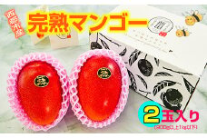 【薗田農園】西都市産完熟マンゴー2玉 900g～1kg【先行予約】＜1.5-148＞