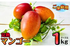 杉田農園 訳あり 西都市産 ご家庭用完熟マンゴー（２玉～3玉） 生産者直送 宮崎マンゴー＜1.3-25＞【在庫限りで終了】