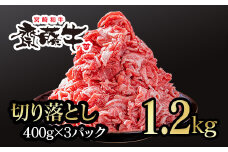 黒毛和牛「宮崎和牛 齋藤牛」牛肉 切り落とし1.2kg 400g×3 小分け ＜1.8-9＞国産牛 切り落とし牛肉