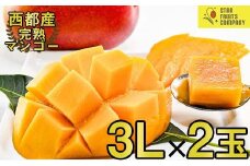 今が旬！完熟マンゴー  専門農園【スターフルーツカンパニー】2玉900g 宮崎県西都産 ＜1.7-31＞宮崎マンゴー【6月3日終了】