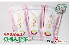 新茶 お茶農家直送 摘み緑茶３本セット【しのはら製茶】お茶 緑茶＜1.4-2＞