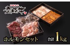 宮崎和牛 齋藤牛 ホルモンセット 焼肉 バーベキュー＜1-201＞焼肉 牛肉