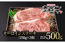 宮崎和牛サーロインステーキ 250g×2枚 500g 齋藤牛 牛肉 ステーキ ＜4.3-3＞