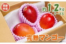 【先行予約】訳あり 西都市産完熟マンゴー 1.2kg 2～4玉＜1.2-34＞