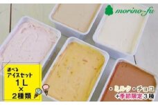 訳あり 2000ml【もりのふうオリジナル】アイスセット（1L×２個）合計2L＜1.2-22＞★
