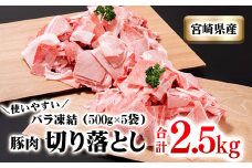 宮崎県産豚肉 2.5kg 小間切れ  小分け5パック＜1.1-17＞★
