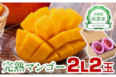  西都市産完熟マンゴー 2L×2玉 糖度12度以上【先行予約】＜1.3-6＞宮崎完熟マンゴー 果物 フルーツ 甘い