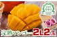 宮崎県園芸ブランド検査協会の基準、糖度12度以上をクリアしている完熟マンゴーです。※化粧箱に変わりました