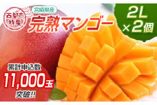 【7月29日終了】宮崎県西都市産完熟マンゴー2L×2個 西都市特産品 ＜1.2-39＞宮崎完熟マンゴー 果物 フルーツ 甘い