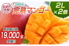 宮崎県西都市産完熟マンゴー2L×2個 西都市特産品 ＜1.2-39＞宮崎完熟マンゴー 果物 フルーツ 甘い【先行予約】