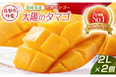 【7月16日終了】今が旬！最高級ブランド『太陽のタマゴ』2L×2個【糖度15度以上】宮崎県西都市産完熟マンゴー ＜2-76＞宮崎マンゴー 果物 フルーツ 甘い 