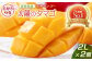 糖度15度以上　最高級ブランド『太陽のタマゴ』2Lサイズ2個入り