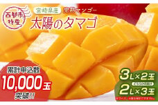 最高級ブランド『太陽のタマゴ』3Lサイズ2個または、2Lサイズ3個【糖度15度以上】宮崎県西都市産完熟マンゴー＜3-48＞宮崎マンゴー【先行予約】