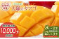 糖度15度以上　最高級ブランド『太陽のタマゴ』
2Lサイズ3個、もしくは3Lサイズ2個のどちらかのお届けになります。
