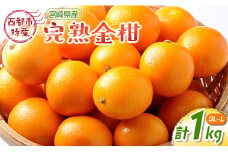 宮崎県西都市産 完熟金柑 きんかん１kg（3L～L）西都市特産品【2月9日終了】＜1-233＞