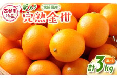 訳あり 宮崎県西都市産完熟金柑 きんかん3kg（3L～L）西都市特産品＜1.2-41＞【2月9日終了】