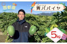 【健康志向の方おすすめ！】安達農園　西都市産『青パパイヤ』先行予約＜1-234＞　　　