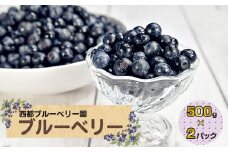 朝どれ！！新鮮生ブルーベリー1kg 西都ブルーベリー農園 小分け250g×4パック【7月8日終了】＜1.2-36＞
