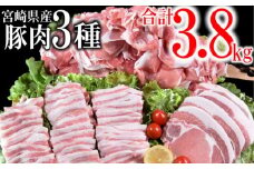 宮崎県産豚肉3種セット 合計 3.8kg 小分け 焼肉 とんかつ 小間切れ＜1.6-31＞