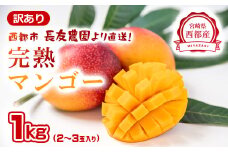 今が旬！【長友農園】訳あり家庭用完熟マンゴー1kg 2～3玉 宮崎県西都 産生産者直送 宮崎県 完熟マンゴー＜1.2-59＞