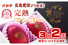 【在庫わずが】今が旬！【長友農園 】完熟マンゴー 3L×2 糖度14度以上 宮崎県西都産 産生産者直送＜1.7-44＞【6月30日終了】