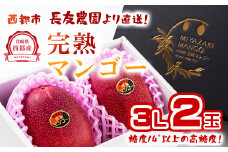 【長友農園 】完熟マンゴー 3L×2 糖度14度以上 宮崎県西都産 産生産者直送＜1.7-44＞