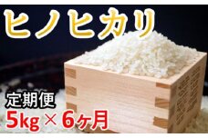 【6ヶ月定期便】ヒノヒカリ５kg 伊東マンショ米 合計30kg 米定期便＜4-10＞