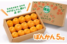  ぽんかん5kg 12月発送開始 宮崎県西都産 宝財原 やのぽんかん園 【先行予約】＜1.4-9＞ポンカン