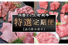 【3月31日終了】4等級以上 特選４回定期便 焼肉 ステーキ すき焼き 希少部位＜5.5-5【カミチク 上村和牛】