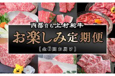 【3月31日終了】4等級以上 お楽しみ６回定期便 焼肉 ステーキ すき焼き 希少部位＜9-1＞【カミチク 上村和牛】