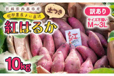 【堀部農産】熟成紅はるか10kg 5㎏×2 訳あり さつまいも 芋 甘藷 ＜1-269＞【先行予約】★