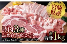 宮崎県産豚肉3種 詰め合わせセット 小分け しゃぶしゃぶ用・スライス・とんかつ＜1-274＞★