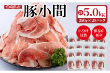 宮崎県産豚肉 小間切れ 小分け 250g×20パック 合計5kg 炒め物など＜2-21＞　