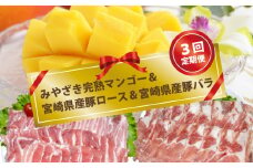 【3回定期便】みやざき完熟マンゴー(ご家庭用)＆宮崎県産豚肉ロース＆バラ肉【先行予約】＜4-14＞　